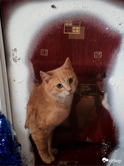 Boldog Karácsonyt Kíván, Zsömi és Én. 