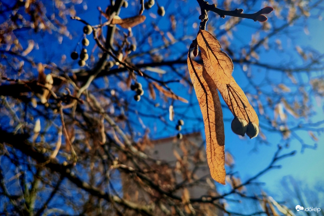 Reggeli fényjáték 