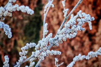 Kristályokkal kirakva. 