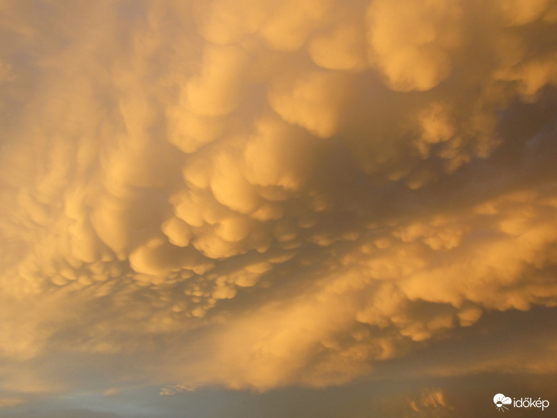 mammatus