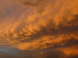 mammatus2