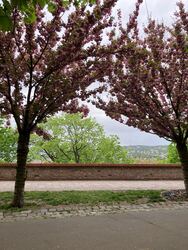 Budapest I.ker - Vár