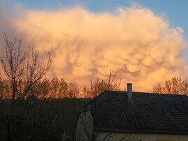 Vizslás