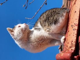 Nálunk tiszta az égbolt és száz ágra süt a nap :)