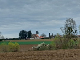 Éjjel esett, most felhős