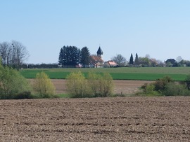 nvtunde75 fotója