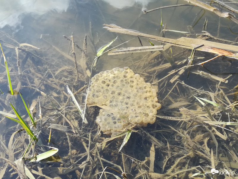 Elkezdődött ☺️☺️☺️