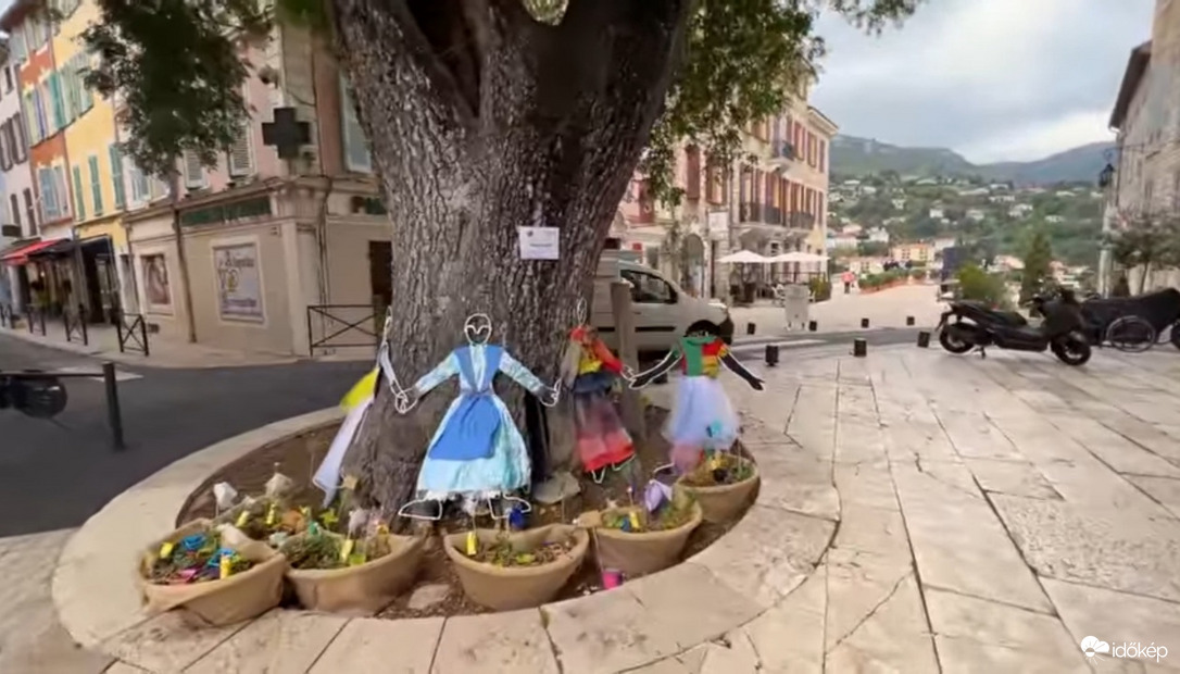 Védjük a fát 