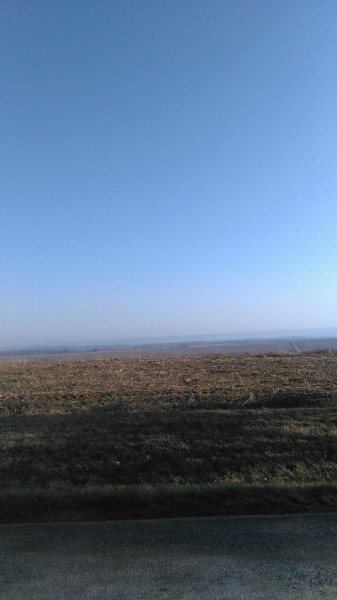 Tamási