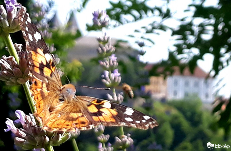 Veszprém