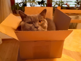 Megjött a csomag. 