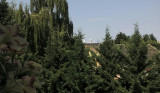 Budapest XX. ker