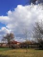 Aba