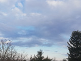 Aba