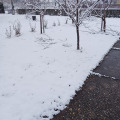 Bajánsenye