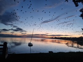 Balatonlelle