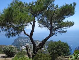 Egy szeletke Capri