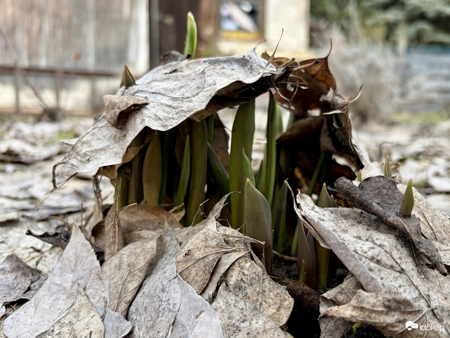Már ilyen meleg van? 