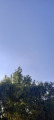Gyulaj