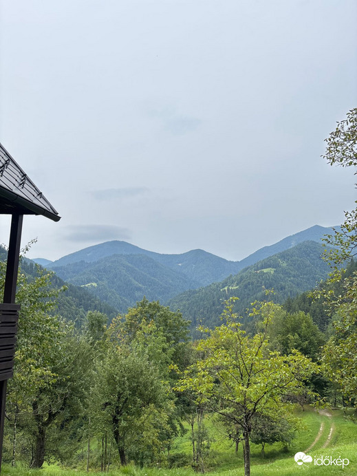 Zali Log