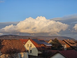 Dorog