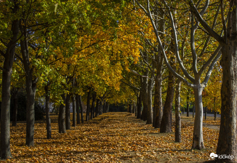 Őszi séta
