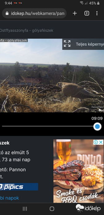 Mikor jött tavaj ide a gólya? 