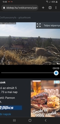 Mikor jött tavaj ide a gólya? 