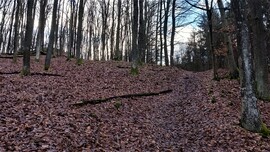 Hór-völgy felé
