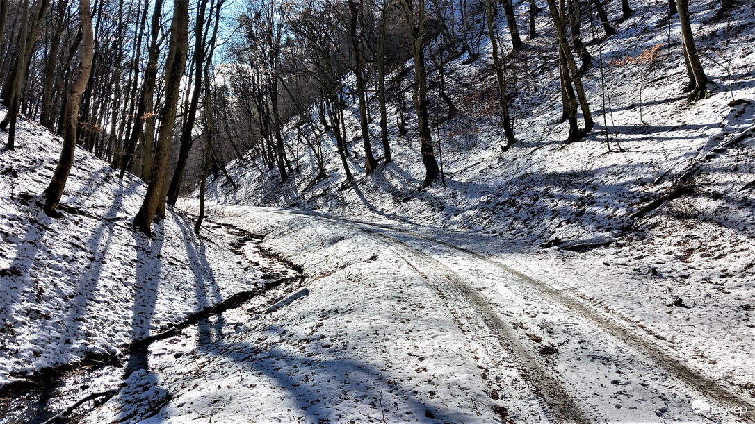 Gyetra-völgy /Felsőtárkány/