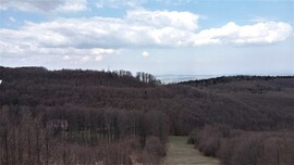 Felső-Borovnyák