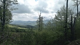 Kékestető - Galyáról