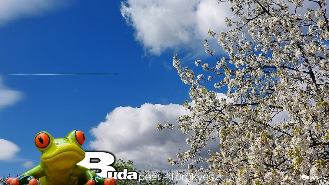 Budapest II.ker - Törökvész