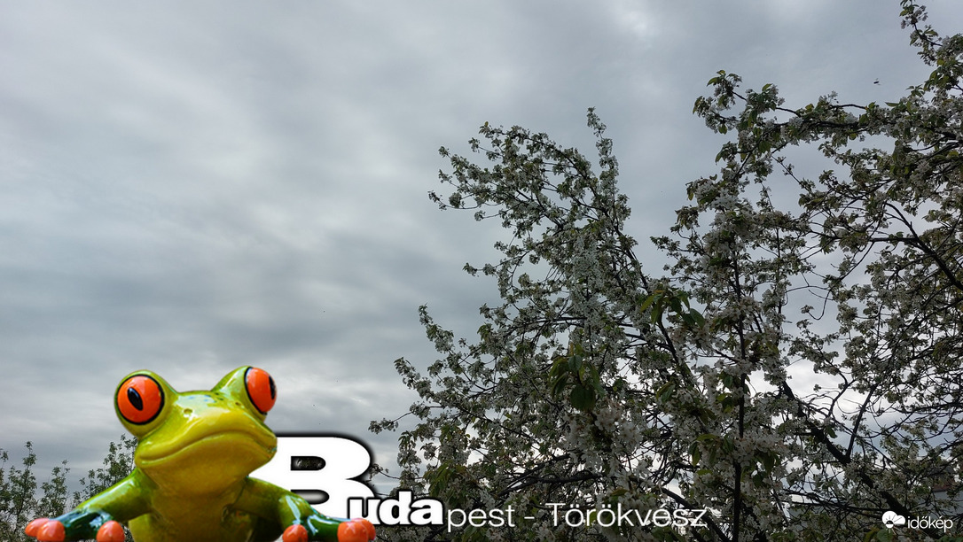 Budapest II.ker - Törökvész