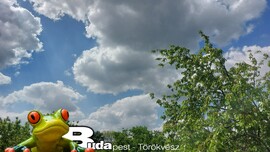 Budapest II. ker