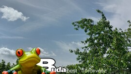 Budapest II.ker - Törökvész