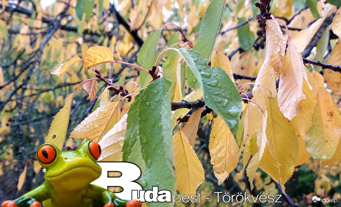 Budapest II.ker - Törökvész