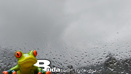 Budapest II.ker - Törökvész