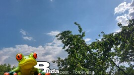 Budapest II.ker - Törökvész