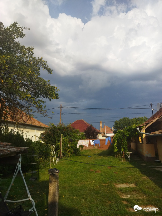 Polgár