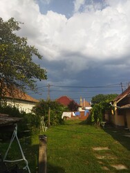 Polgár