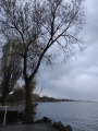 Balatonlelle