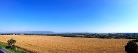 Balatonberény