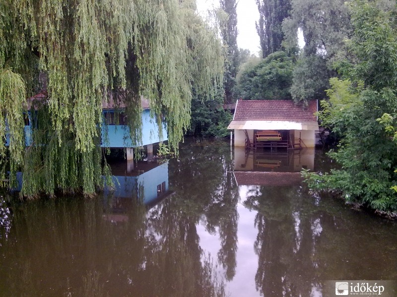 A Tisza Csongrádnál