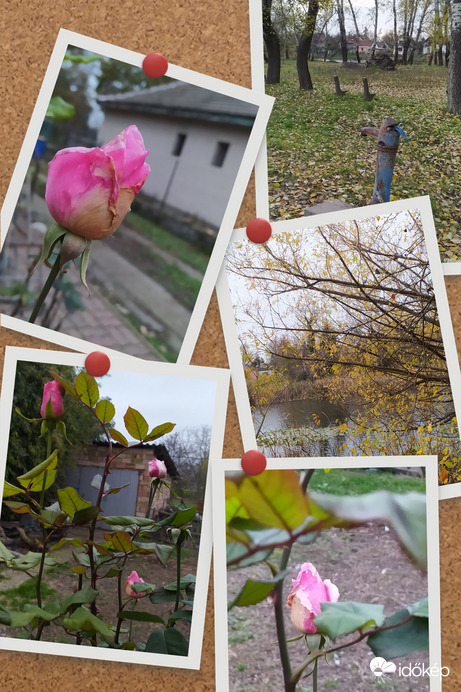 3 éve ilyenkor :D