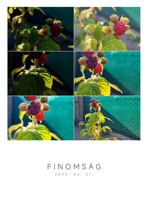 Nyári finomság 