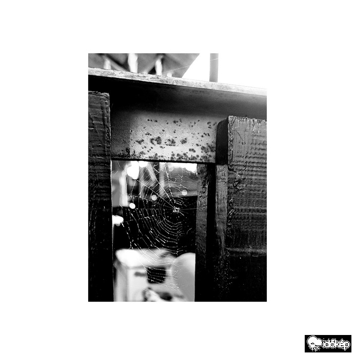 2*2 cm-es csoda