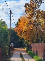 Jól esik hazajönni .....