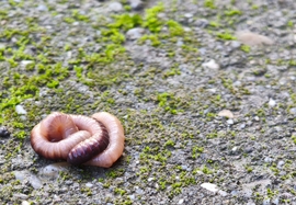 Kicsit becsavarodtam...:)