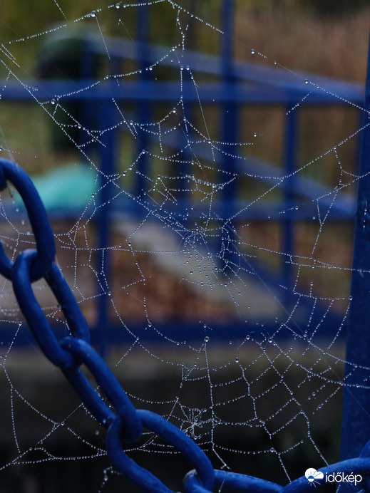 Láncos háló,vagy hálós lánc!:-)